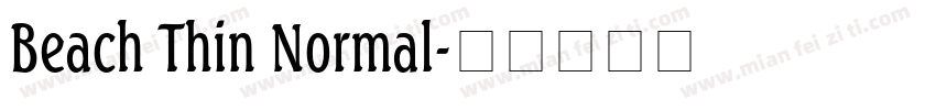 Beach Thin Normal字体转换